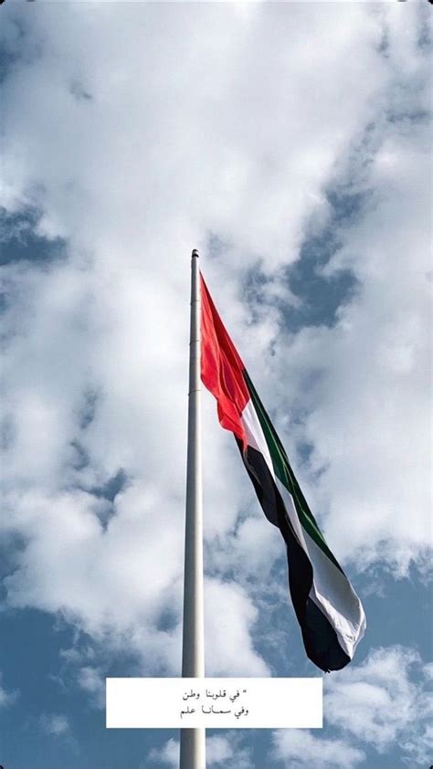 Pin by Wafa Harib on UAE | Uae national day, Dubai aesthetic, Uae flag