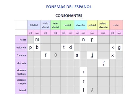 Las consonantes españolas – Talleres Guacamayo