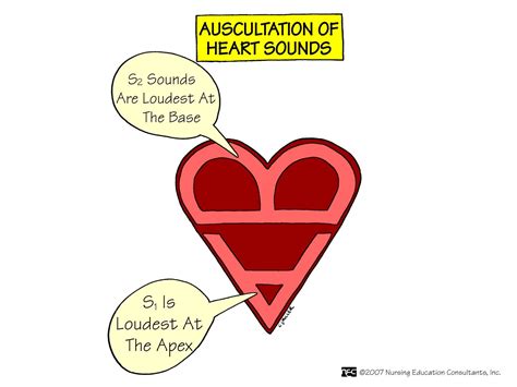 Ultimate Guide To Head To Toe Physical Assessment Nurseslabs Nursing Mnemonics Nurse