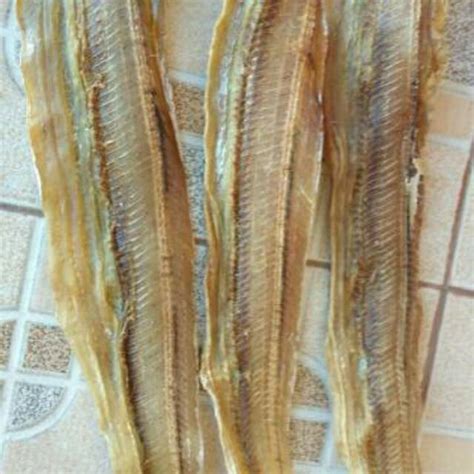 Jual IKAN ASIN LAYUR BELEK AN 1 4KG Shopee Indonesia