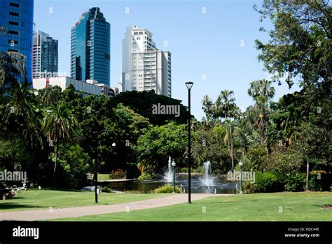 City Botanic Gardens, Brisbane, Queensland, Australia Stock Photo - Alamy