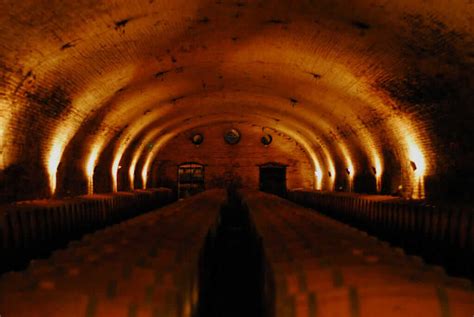 Visitar Bodega y Viña Cousiño Macul en Santiago de Chile