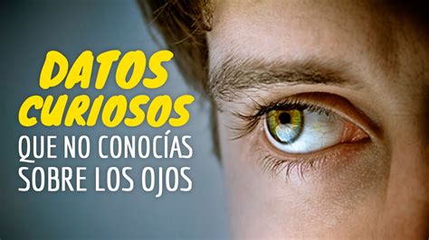 10 Datos Curiosos Que Desconocías Sobre Los Ojos Youtube