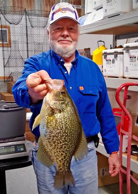 Two Nearly Record Crappie Caught In Louisiana Wired2fish