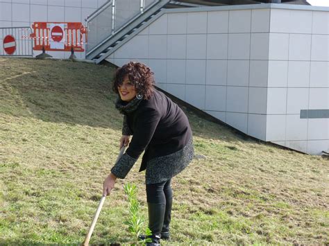 Ambiente Il 17 Novembre Torna L Evento Alberi Per Il Futuro