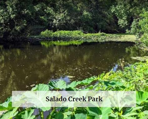 Salado Creek Park