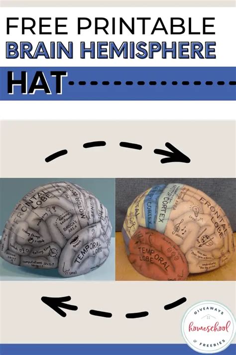 Free Printable Brain Hemisphere Hat | Human body crafts, Brain craft ...