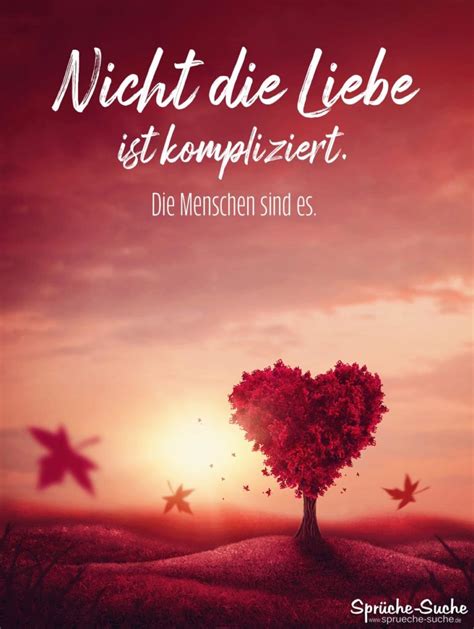 Liebe Ist Nicht Nachtragen Spr Che Lasst Euch Inspirieren Von Den