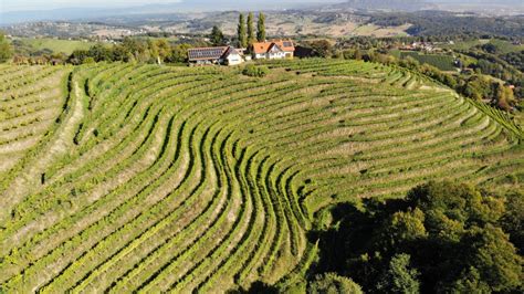 Weingut Albert Familie Cramer Kitzeck Im Sausal S Dsteiermark