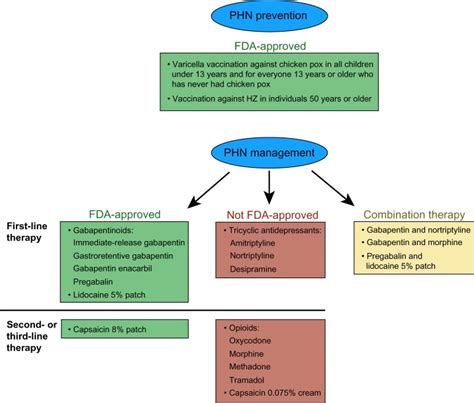 Current postherpetic neuralgia (PHN) prevention and treatment... | Download Scientific Diagram