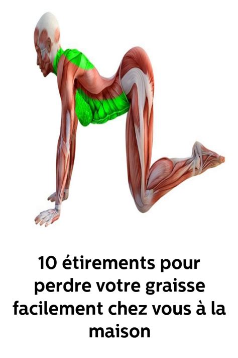 Tirements Pour Perdre Votre Graisse Facilement Chez Vous La