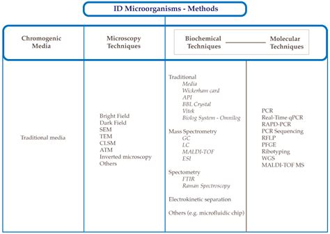 Microorganisms Free Full Text Advances In Chemical And Biological