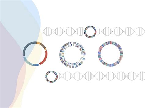 Plasmid DNA- Structure, Function, Isolation And Applications