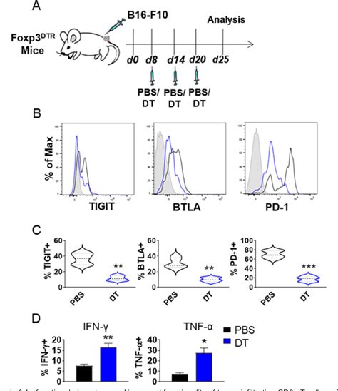 Figure 1 From Tumor Associated Tregs Obstruct Antitumor Immunity By