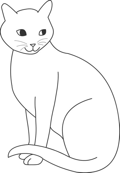 Dessin De Chat Animozonefr