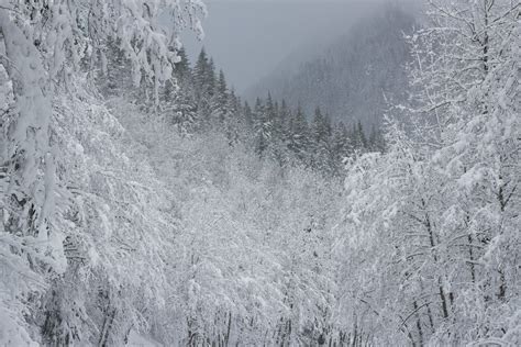 Stevens Pass Wa After Some Light Snow [oc] [5184x3456] R Earthporn