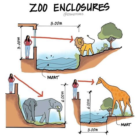 Engineering Infinity on LinkedIn: Zoo enclosures provide habitats for ...