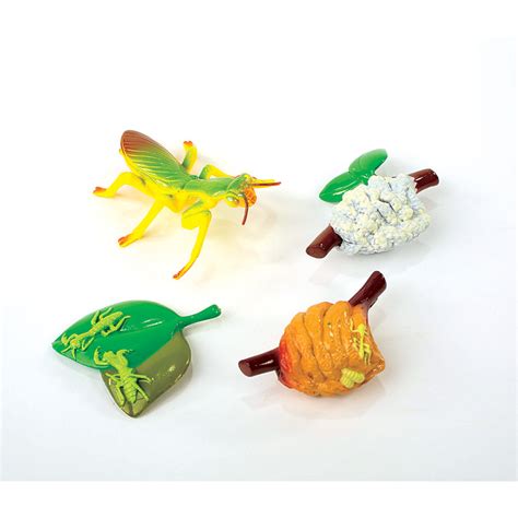 Praying Mantis Life Cycle Figurines (D2) - Garden Specialties