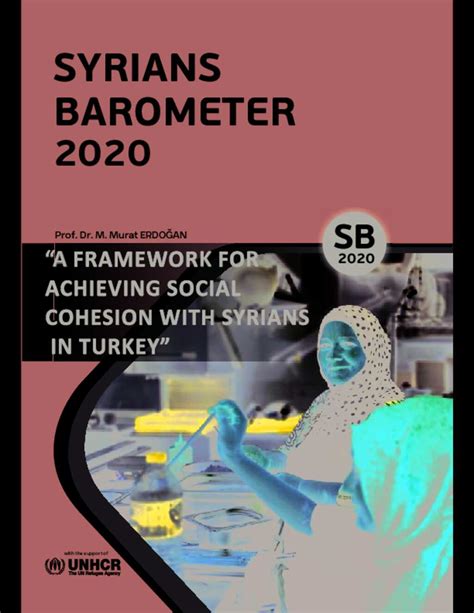 Document Turkey Syrians Barometer 2020 A Framework For Achieving Social Cohesion With