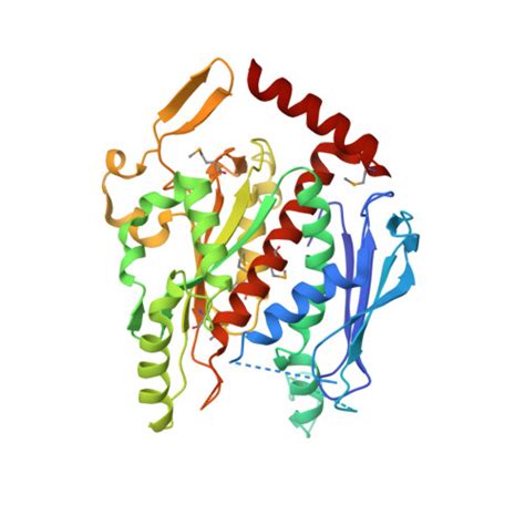 Rcsb Pdb 1q1l Crystal Structure Of Chorismate Synthase