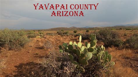 Hiking Through Saguaro Cactus In Yavapai County Arizona Monsoon