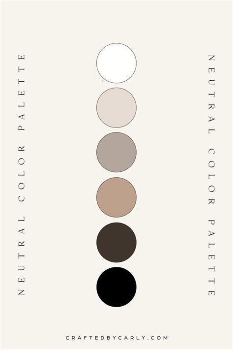 Monochromatic Neutral Color Palette In Beige Color Palette