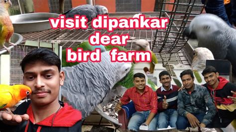 Visiting Get Around Parrot Dipankar Da S Bird Farm Youtube