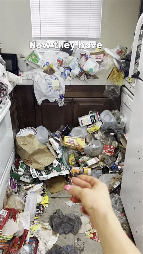 Cleaner on 'worst fridge' stuffed with 4-year-old rotten food in bug-infested kitchen - The Mirror