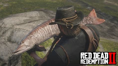 Red Dead Redemption 2 Legendary Muskie Location And Catch Youtube