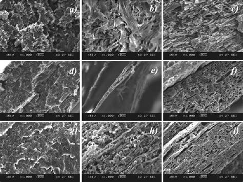 Sem Micrographs Of Cryofractured Surfaces Of Pet Hdpe Ema Blends