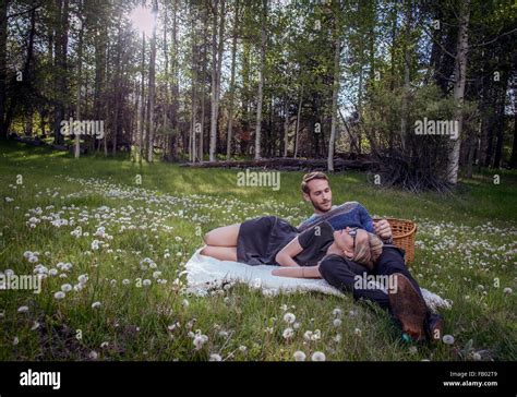 Picnic Forest Back Lit Lens Flare Trees Hi Res Stock Photography And