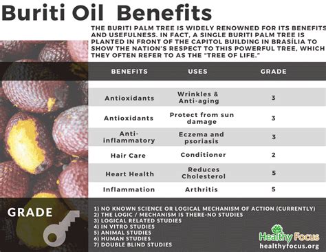 7 Amazing Benefits of Buriti Oil - Healthy Focus