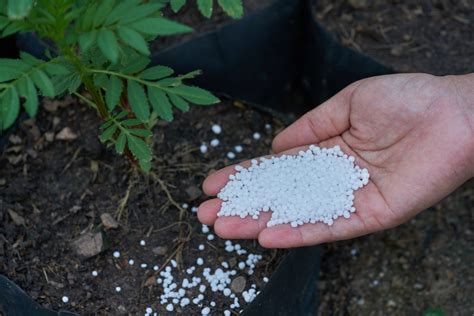 Types Of Urea Fertilizer Infinity Galaxy