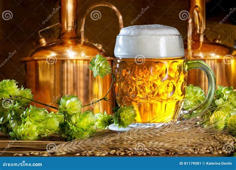 Beer Glass With Hops And Barley Stock Image Image Of Beer Beverage