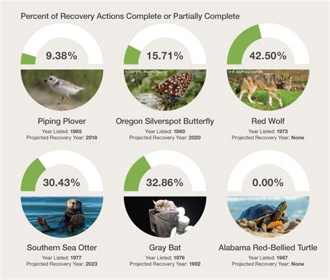 The Endangered Species Act at 50 | PERC