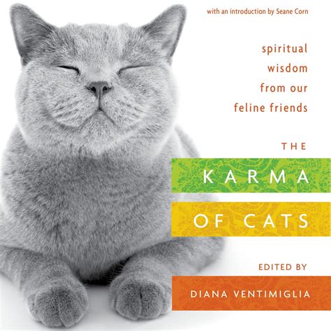 Cats Karma Sehr Kritisch Hinterfragt 3
