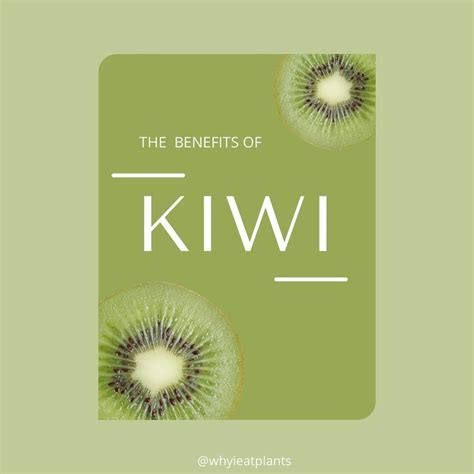 Alexis Hawes On Instagram Its Kiwi Season Fun Facts About This