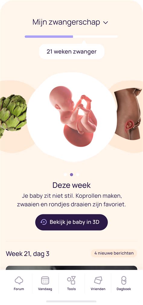 App Voor Zwanger Worden Zwangerschap En Babys Baby