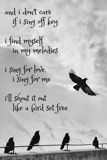 Free Bird Quotes Shortquotes Cc