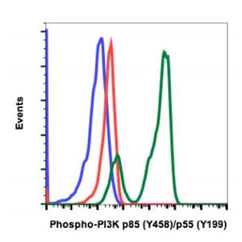 Pik R Rabbit Anti Human Clone A Abnova L Unconjugated