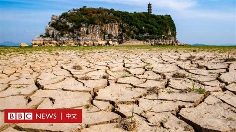 中國、歐洲、美國和非洲大旱 2022年是不是史上最乾旱的年份？ Bbc News 中文