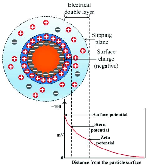 Zeta Potential Wikipedia Edu Svet Gob Gt