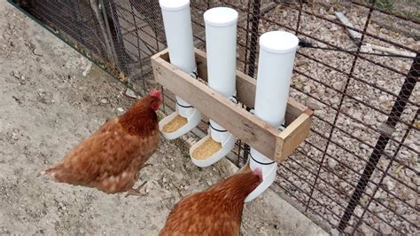 Diy Pvc Chicken Feeder