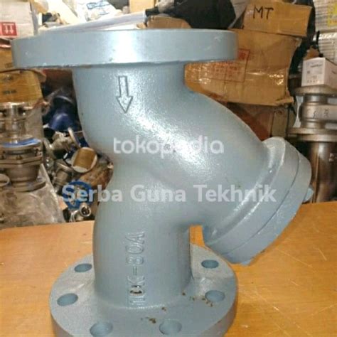 Jual Y Strainer 6 Inch DN150 Flange Jis 10k Cast Iron 10k 150