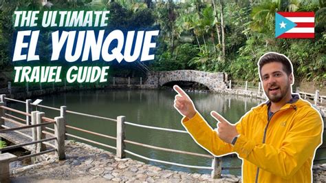 The Ultimate Guide To El Yunque Briks Travel Guides Puerto Rico