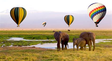 9 Top Hot Air Balloon Safaris In Africa Balloon Safari