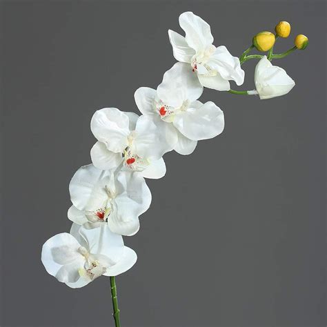 mucplants Orchideenzweig 72cm weiß Creme künstliche Orchidee