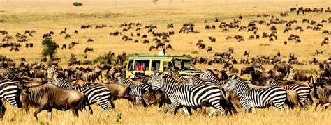 Serengeti National Park Weather Serengeti Safaris Tours Tanzania