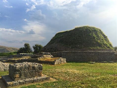 A Step By Step Diy Guide On How To Explore And Maximize Your Taxila And