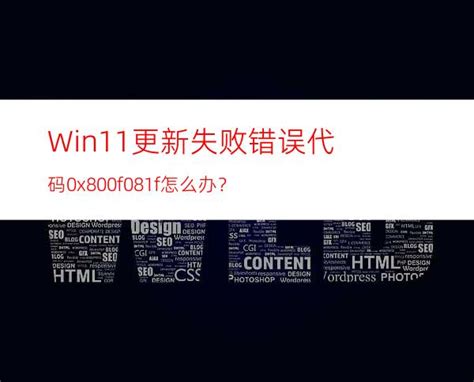 Win11更新失败错误代码0x800f081f怎么办？ Win11教程网站